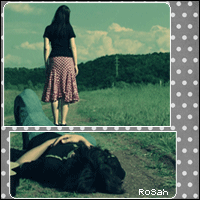 172.gif
