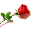 14.gif