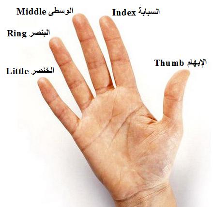 231.jpg
