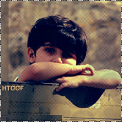 19.gif