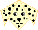 556.gif