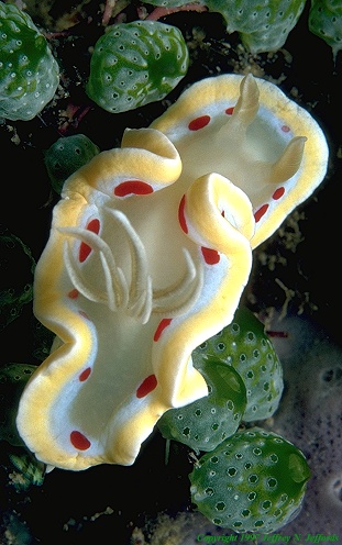 56.jpg