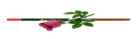 272.gif