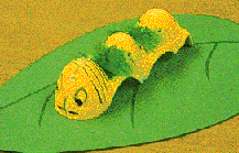 78.gif