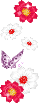 1005.gif