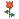 170.gif