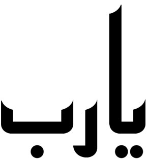 527.jpg