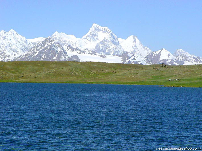 2005.jpg