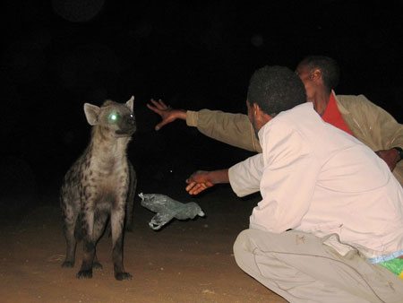 236.jpg