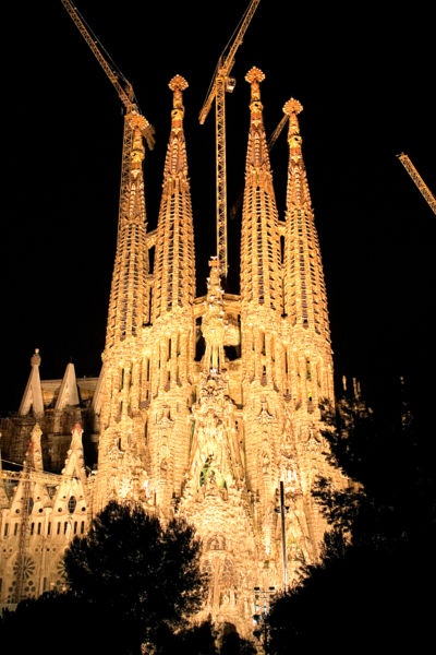 2655.jpg