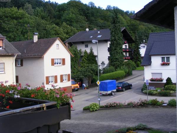 345.jpg