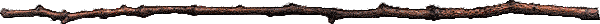 262.gif