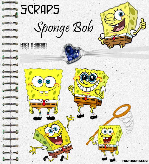 834.jpg