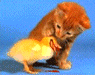 386.gif