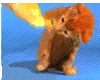 387.gif