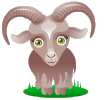 162.gif