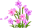 345.gif