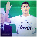 81.gif