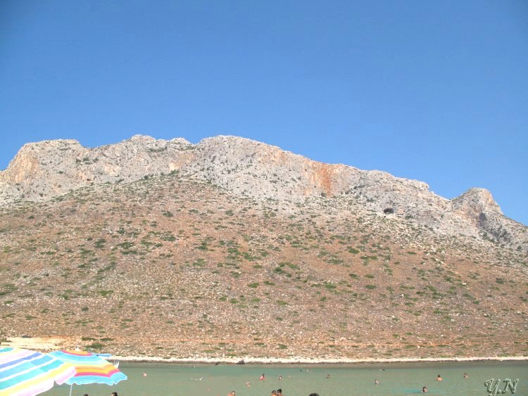 2389.jpg