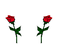 1323.gif