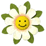 195.png