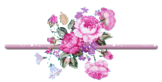 205.gif