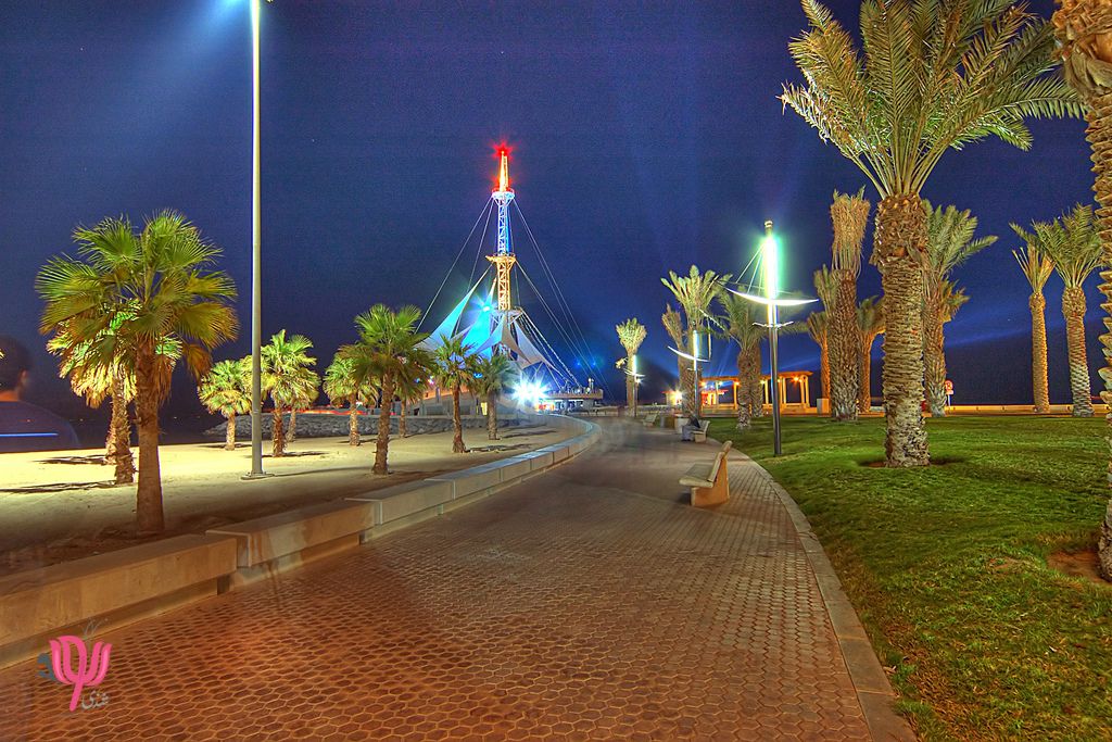 2659.jpg