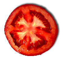3722.jpg