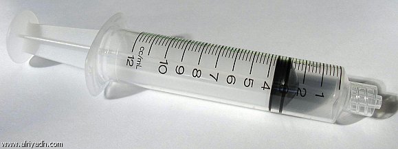 3779.jpg