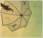 398.gif