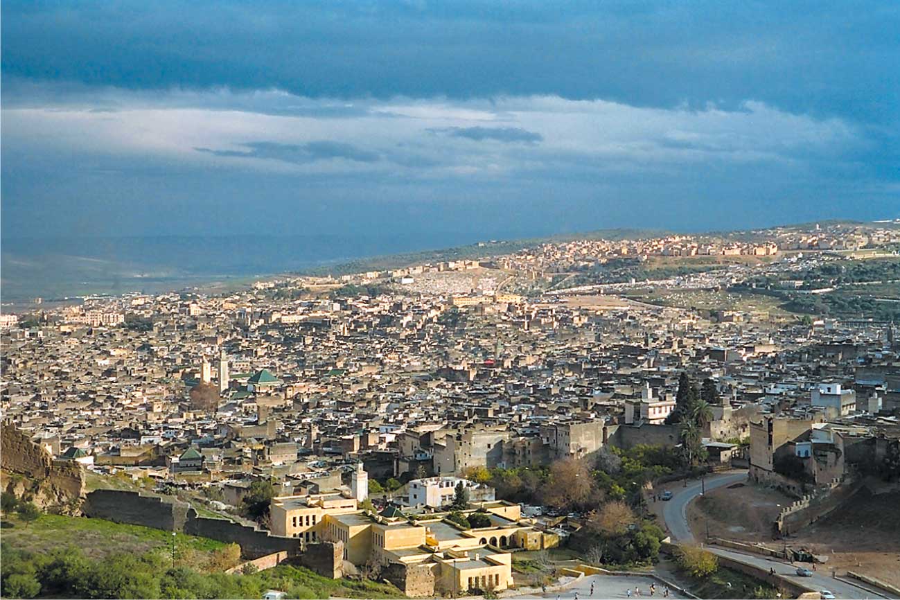 6545.jpg