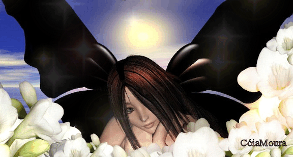134.gif
