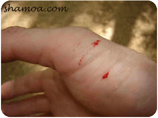143.gif