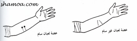 146.gif