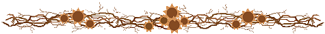 211.gif