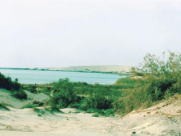 2194.jpg