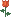 222.gif