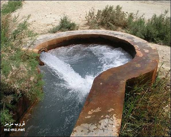 238.jpg