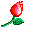 258.gif
