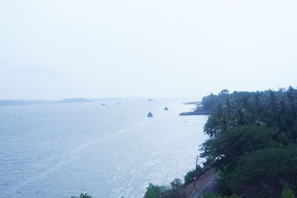 570.jpg