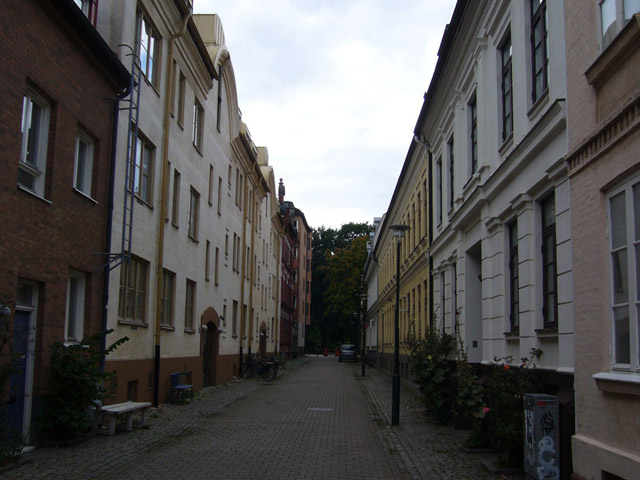 589.jpg