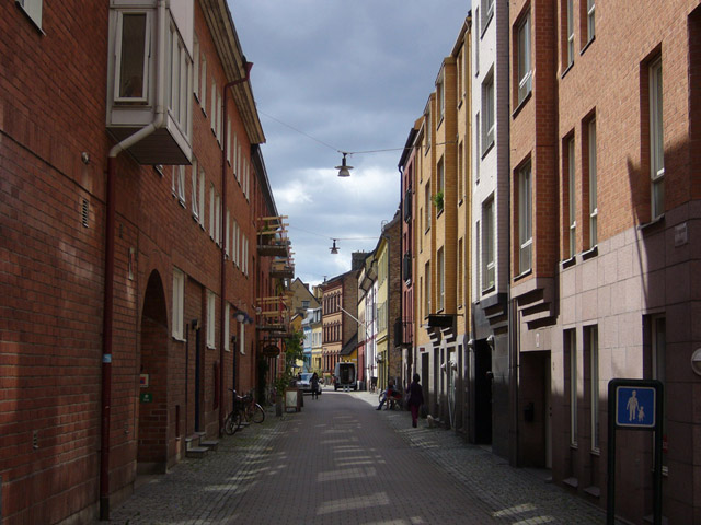 596.jpg