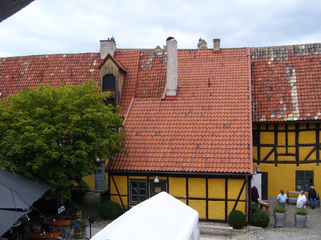598.jpg