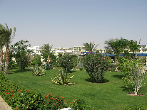 907.jpg