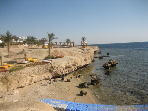 918.jpg