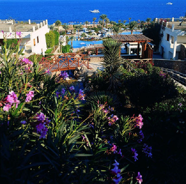 919.jpg