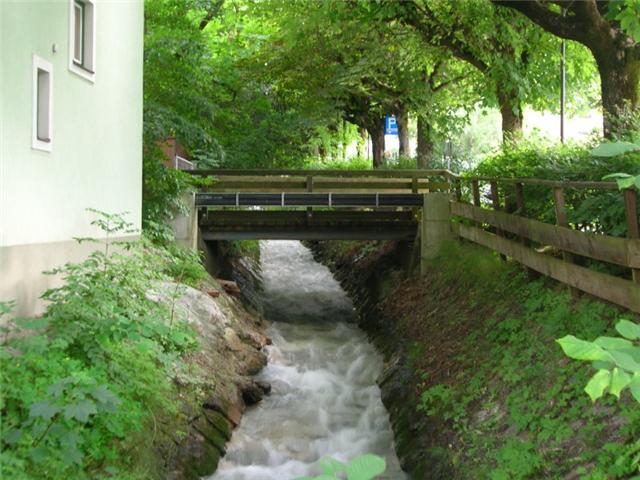 979.jpg