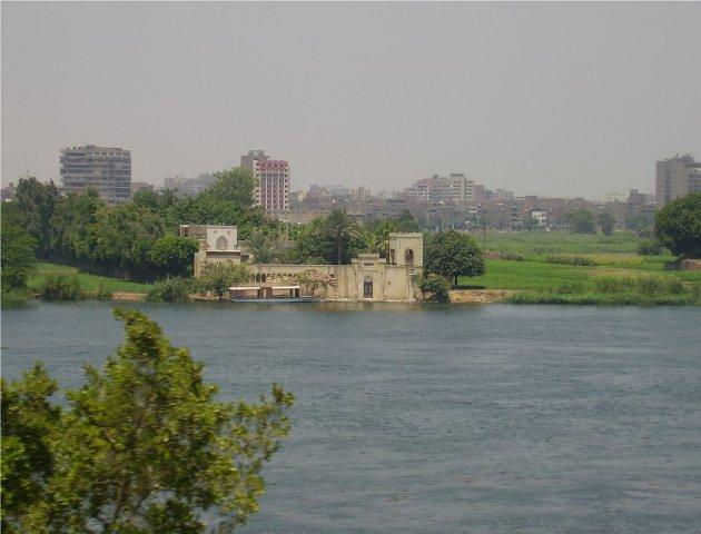 982.jpg