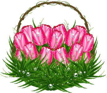 1091.gif
