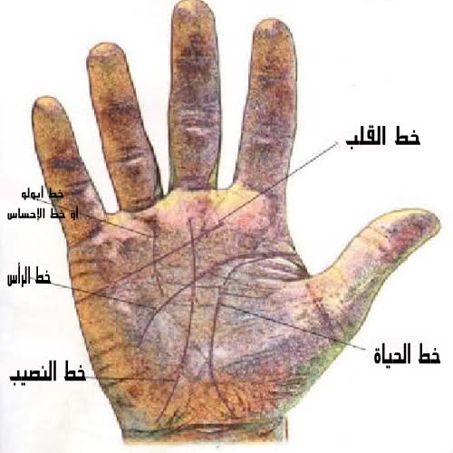 146.jpg
